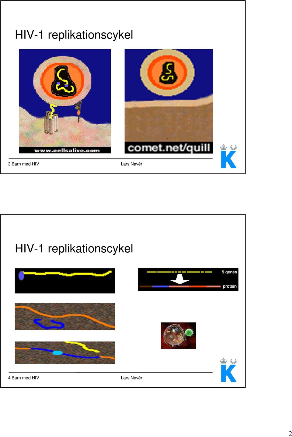 HIV-1 replikationscykel 4