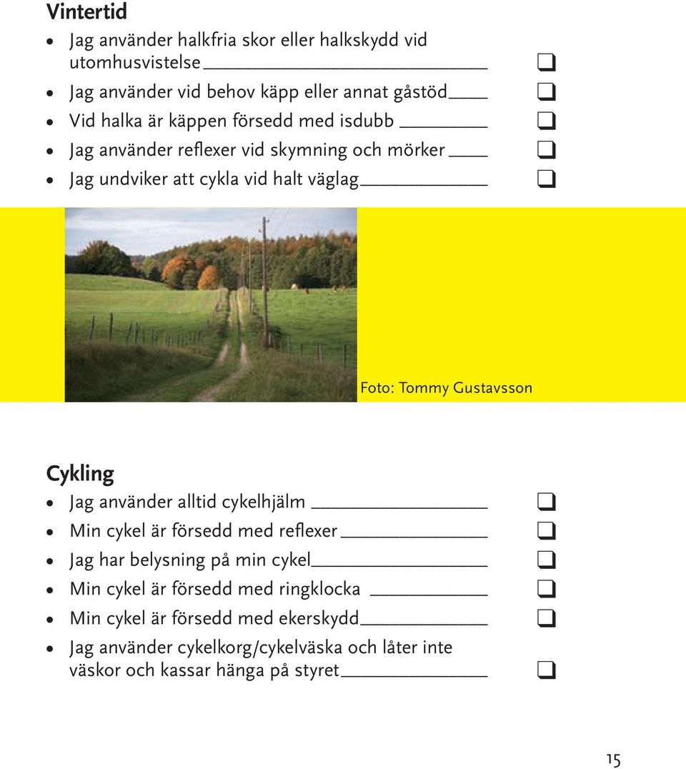 Gustavsson Cykling Jag använder alltid cykelhjälm Min cykel är försedd med reflexer Jag har belysning på min cykel Min cykel är