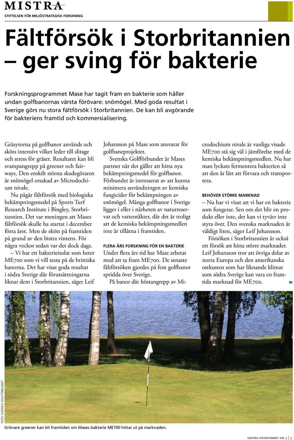 Gräytorna på golfbanor använd och köt intenivt vilket leder till litage och tre för gräet. Reultatet kan bli vampangrepp på greener och fairway.