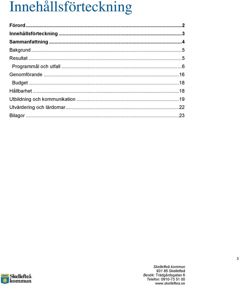 .. 5 Programmål och utfall... 6 Genomförande... 16 Budget.