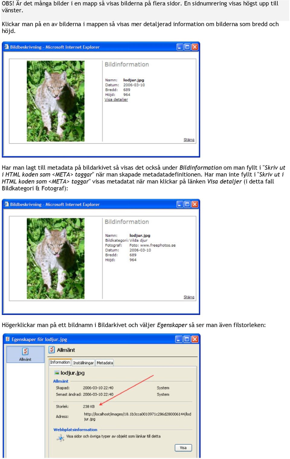 Har man lagt till metadata på bildarkivet så visas det också under Bildinformation om man fyllt i "Skriv ut i HTML koden som <META> taggar" när man skapade