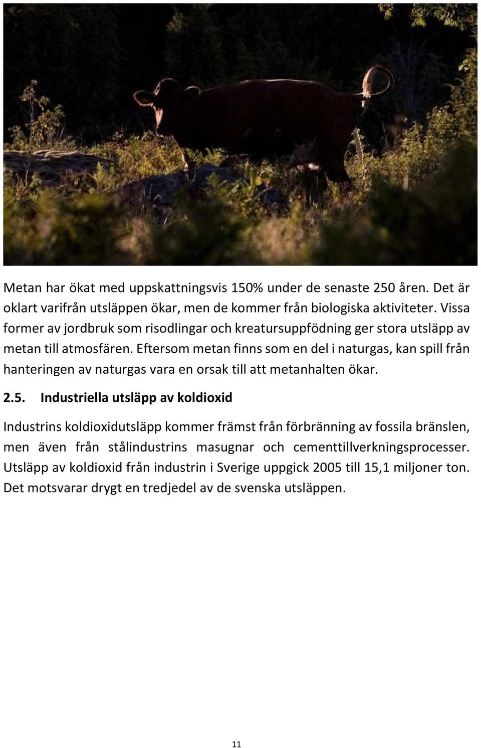 Eftersom metan finns som en del i naturgas, kan spill från hanteringen av naturgas vara en orsak till att metanhalten ökar. 2.5.