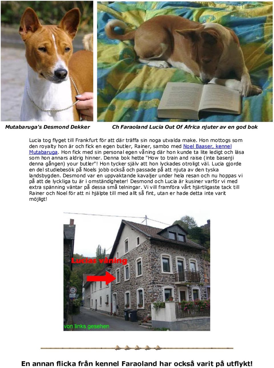 Hon fick med sin personal egen våning där hon kunde ta lite ledigt och läsa som hon annars aldrig hinner. Denna bok hette "How to train and raise (inte basenji denna gången) your butler"!