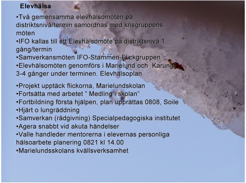 Elevhälsoplan Projekt upptäck flickorna, Marielundskolan Fortsätta med arbetet Medling i skolan Fortbildning första hjälpen, plan upprättas 0808, Soile Hjärt o