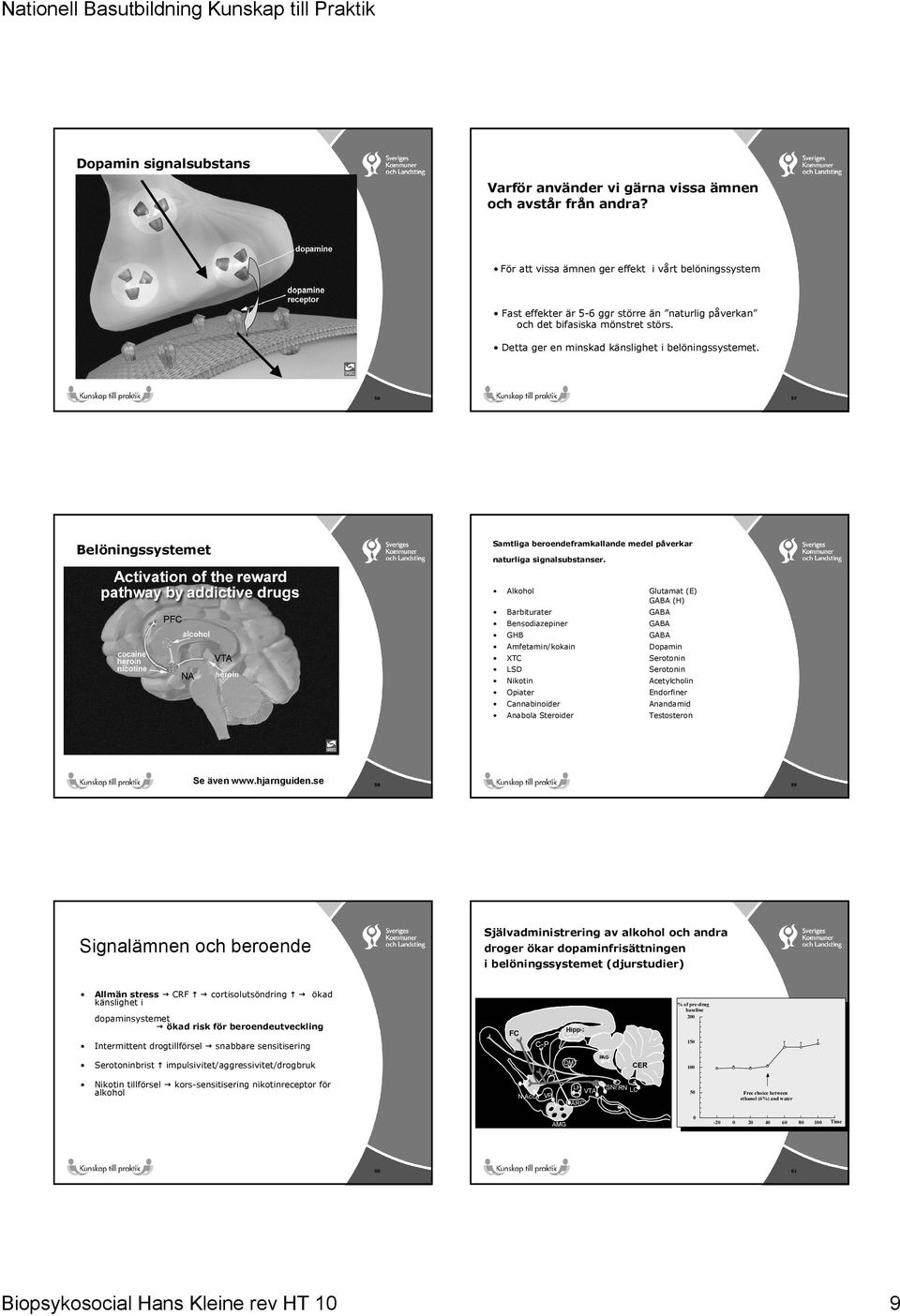 56 57 Belöningssystemet Samtliga beroendeframkallande medel påverkar naturliga signalsubstanser.