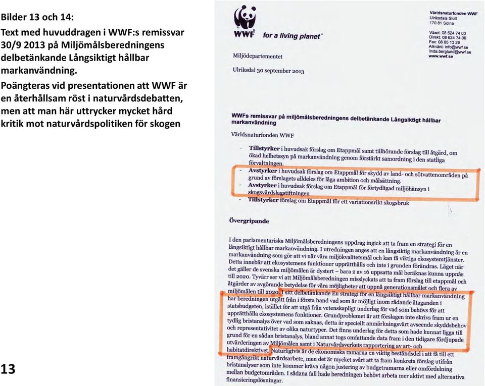Poängteras vid presentationen att WWF är en återhållsam röst i
