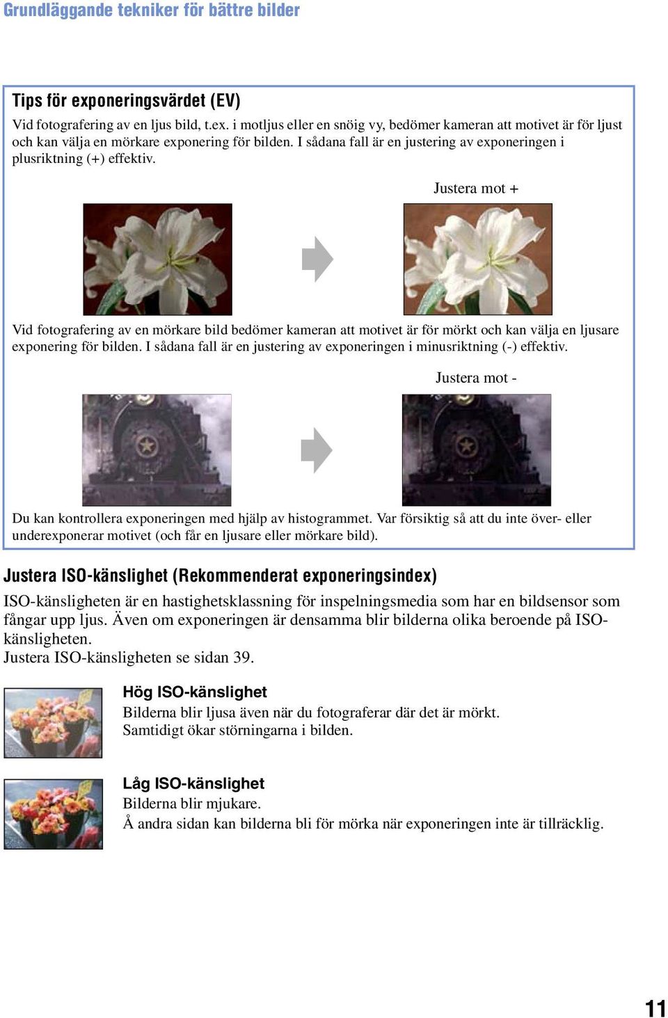 Justera mot + Vid fotografering av en mörkare bild bedömer kameran att motivet är för mörkt och kan välja en ljusare exponering för bilden.