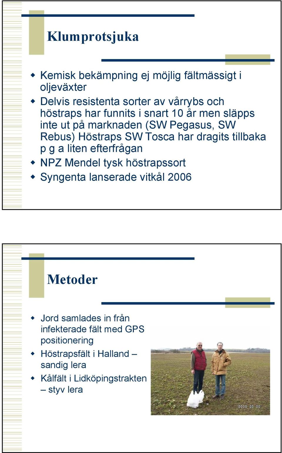 tillbaka p g a liten efterfrågan NPZ Mendel tysk höstrapssort Syngenta lanserade vitkål 2006 Metoder Jord samlades