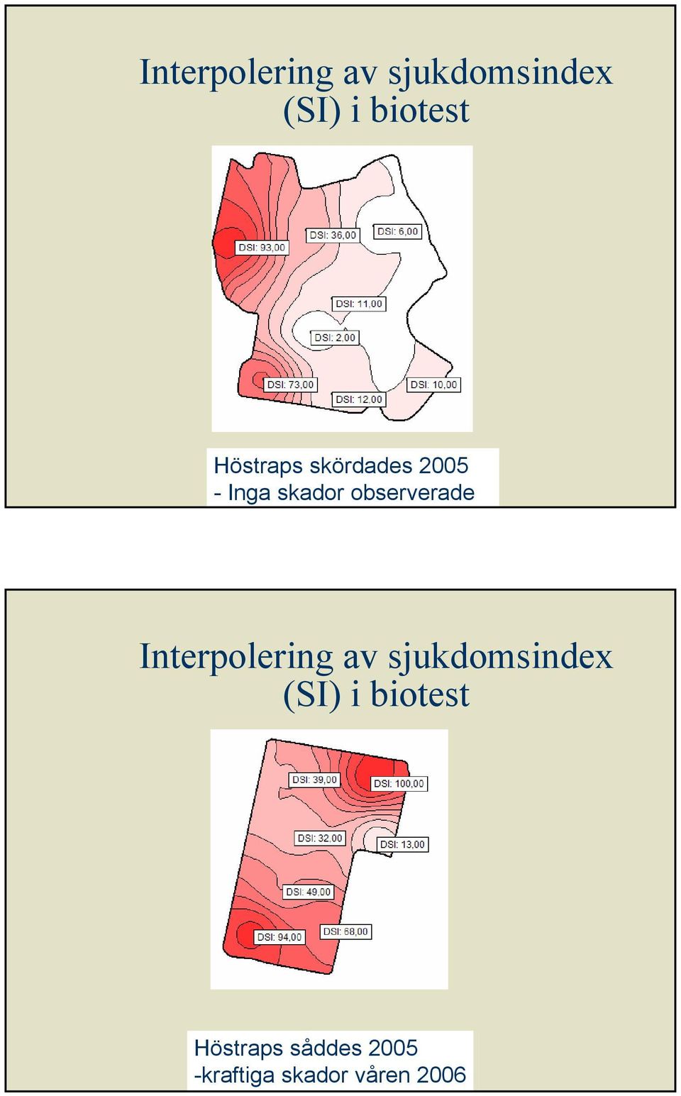 observerade  Höstraps såddes 2005 -kraftiga