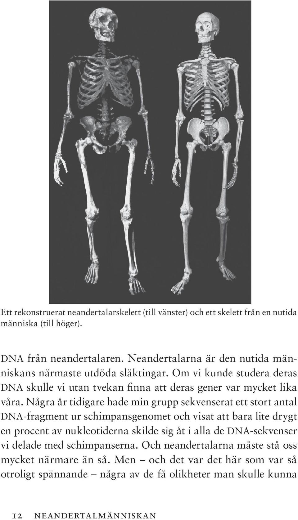 Några år tidigare hade min grupp sekvenserat ett stort antal DNA-fragment ur schimpansgenomet och visat att bara lite drygt en procent av nukleotiderna skilde sig åt i