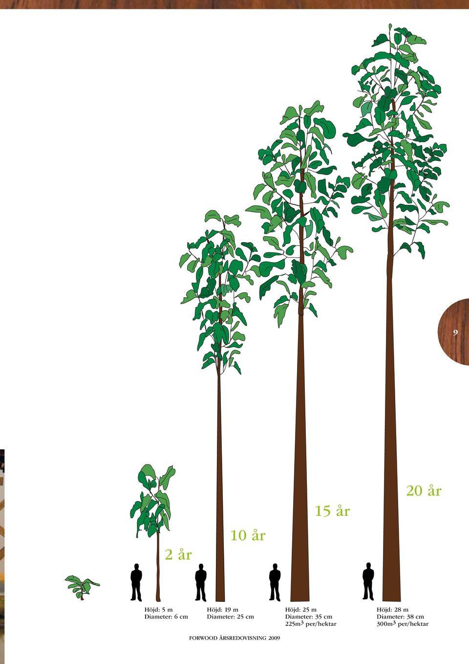 Höjd: 25 m Diameter: 35 cm 225m 3