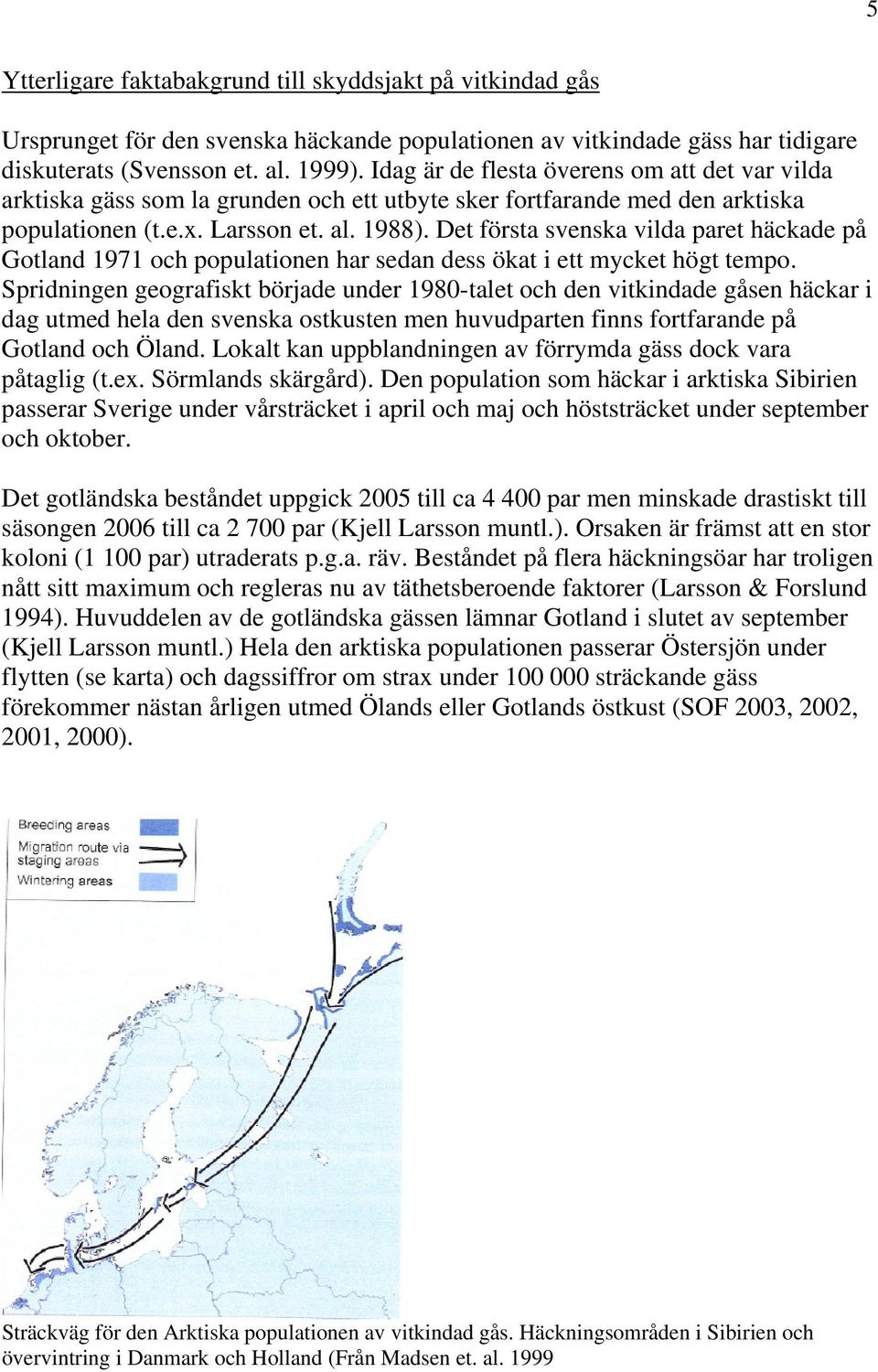 Det första svenska vilda paret häckade på Gotland 1971 och populationen har sedan dess ökat i ett mycket högt tempo.