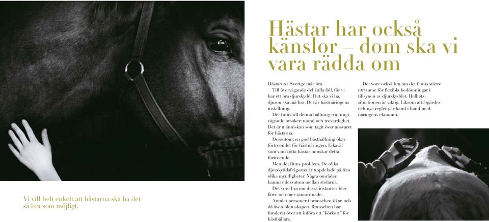Det finns till denna hållning två tungt vägande orsaker: moral och trovärdighet. Det är människan som tagit över ansvaret för hästarna. Dessutom; en god hästhållning ökar förtroendet för hästnäringen.