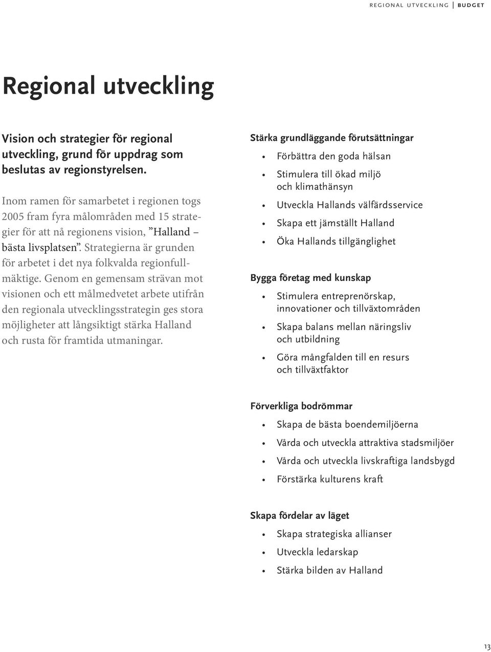 Strategierna är grunden för arbetet i det nya folkvalda regionfullmäktige.