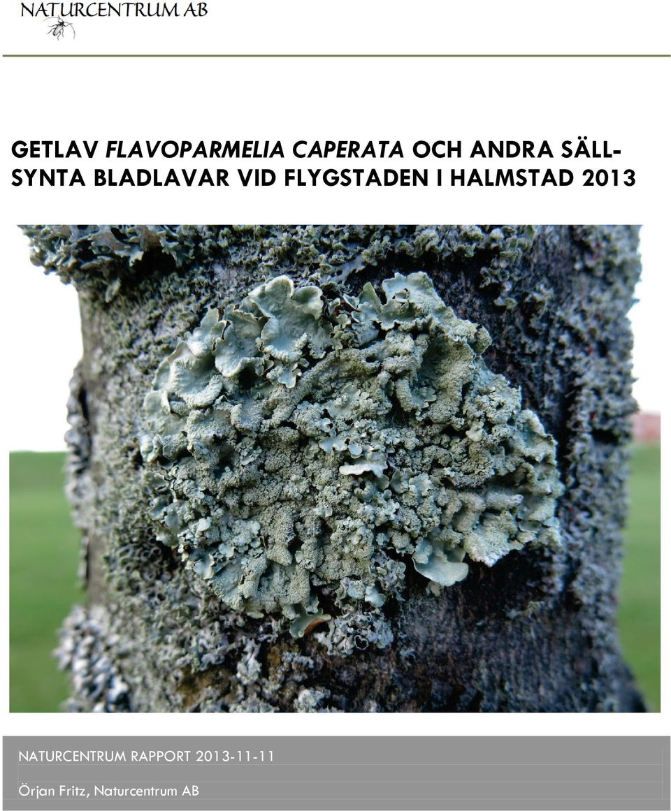 FLYGSTADEN I HALMSTAD 2013