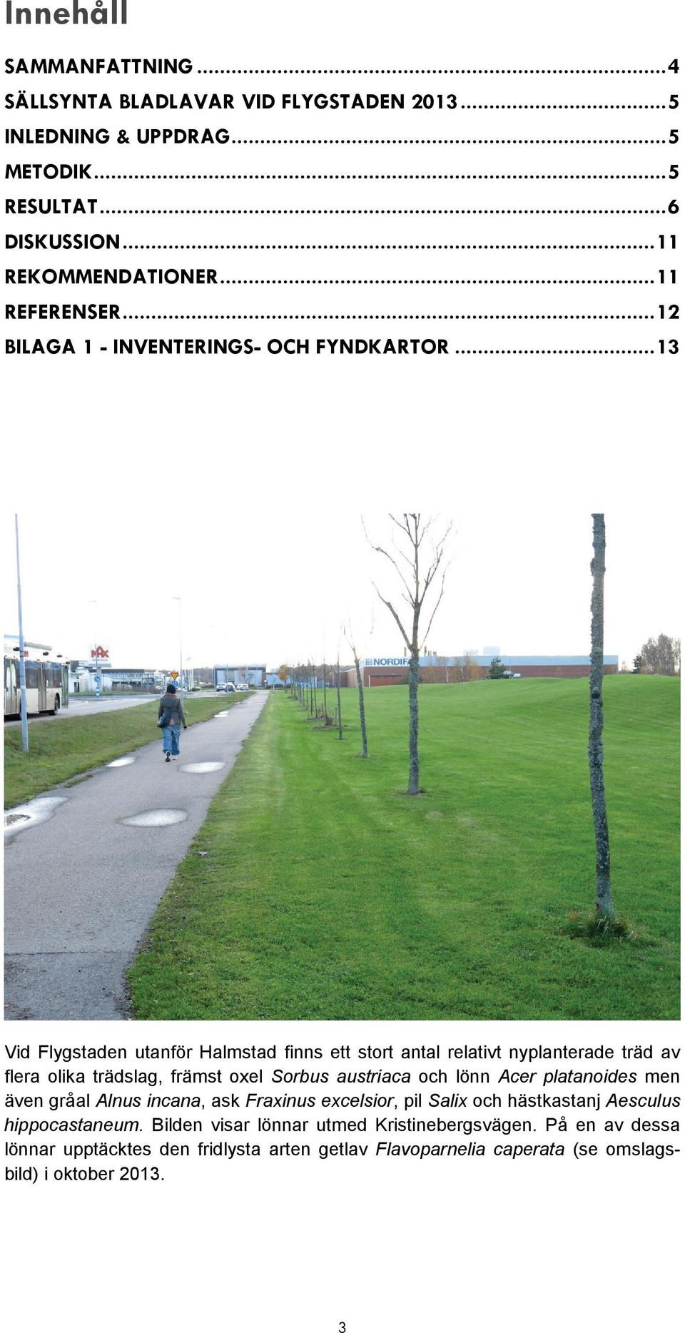 .. 13 Vid Flygstaden utanför Halmstad finns ett stort antal relativt nyplanterade träd av flera olika trädslag, främst oxel Sorbus austriaca och lönn Acer