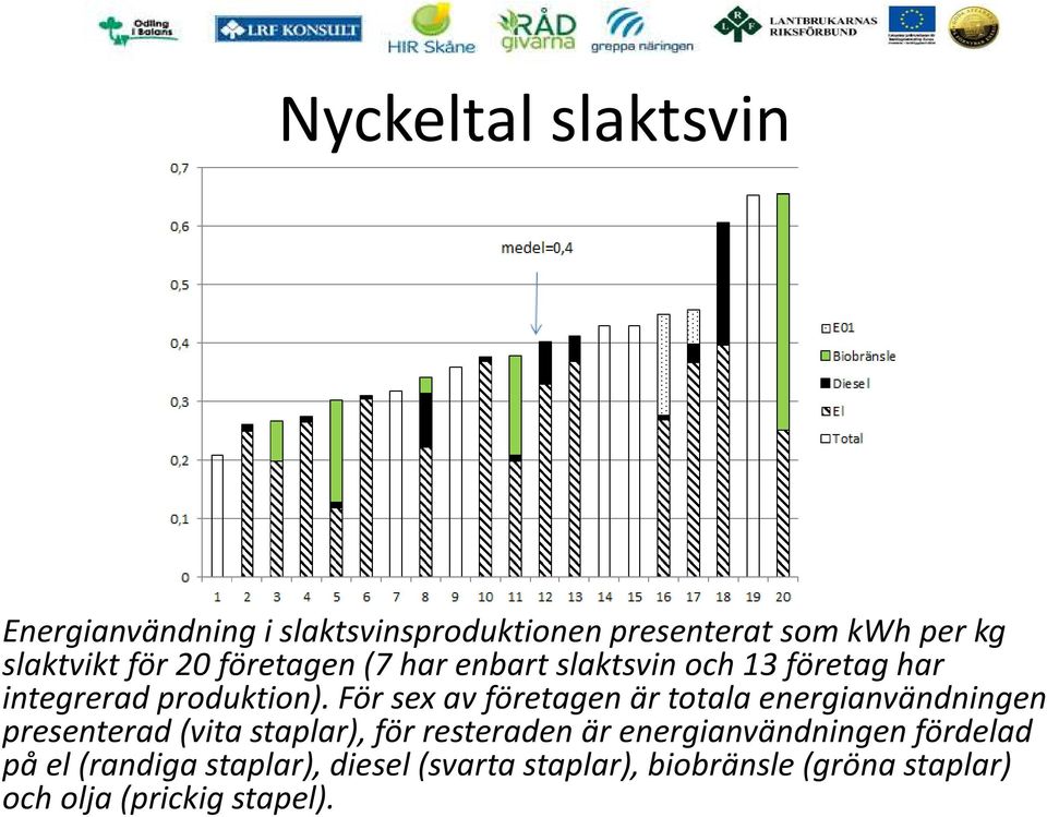 För sex av företagen är totala energianvändningen presenterad (vita staplar), för resteraden är