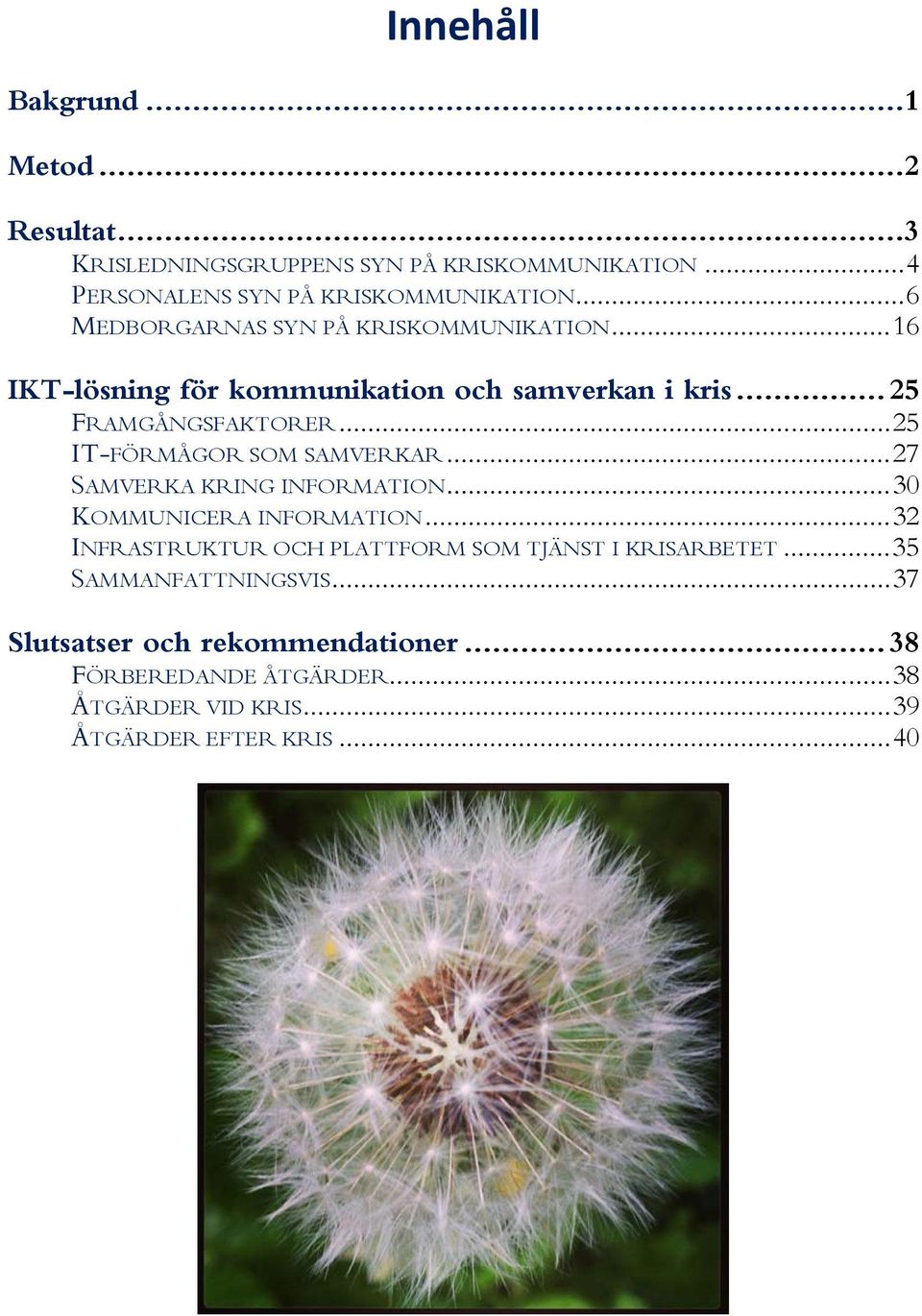 .. 25 IT-FÖRMÅGOR SOM SAMVERKAR... 27 SAMVERKA KRING INFORMATION... 30 KOMMUNICERA INFORMATION.