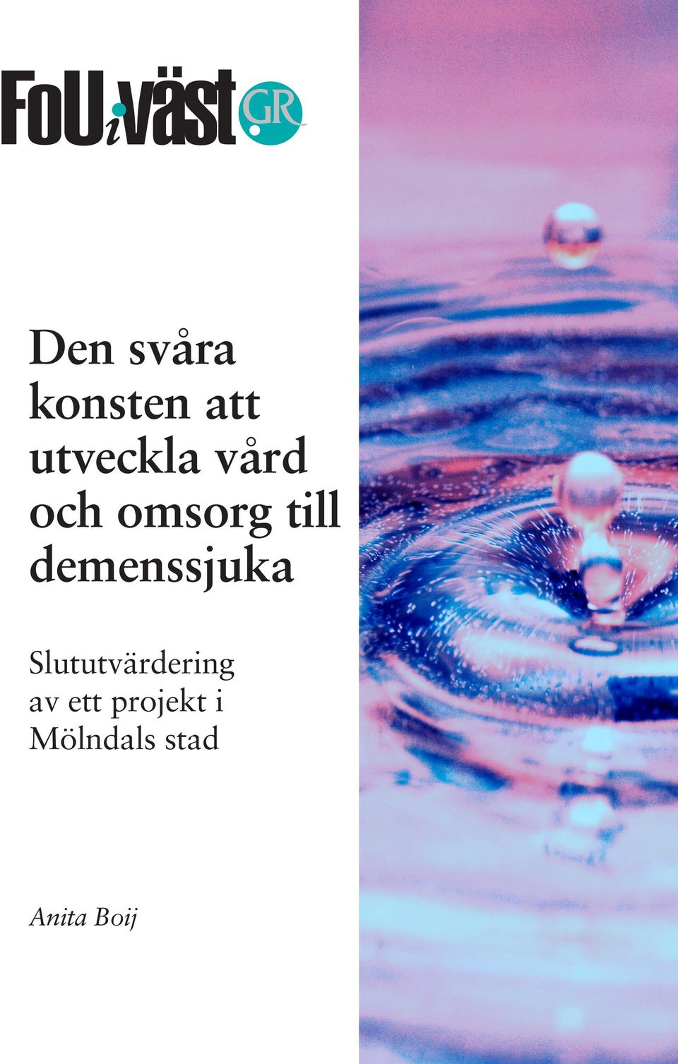 demenssjuka Slututvärdering av