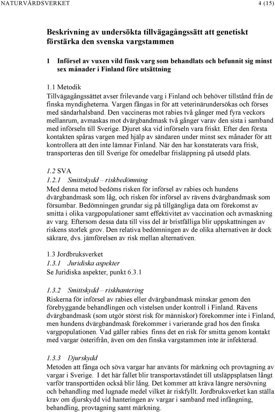 Vargen fångas in för att veterinärundersökas och förses med sändarhalsband.