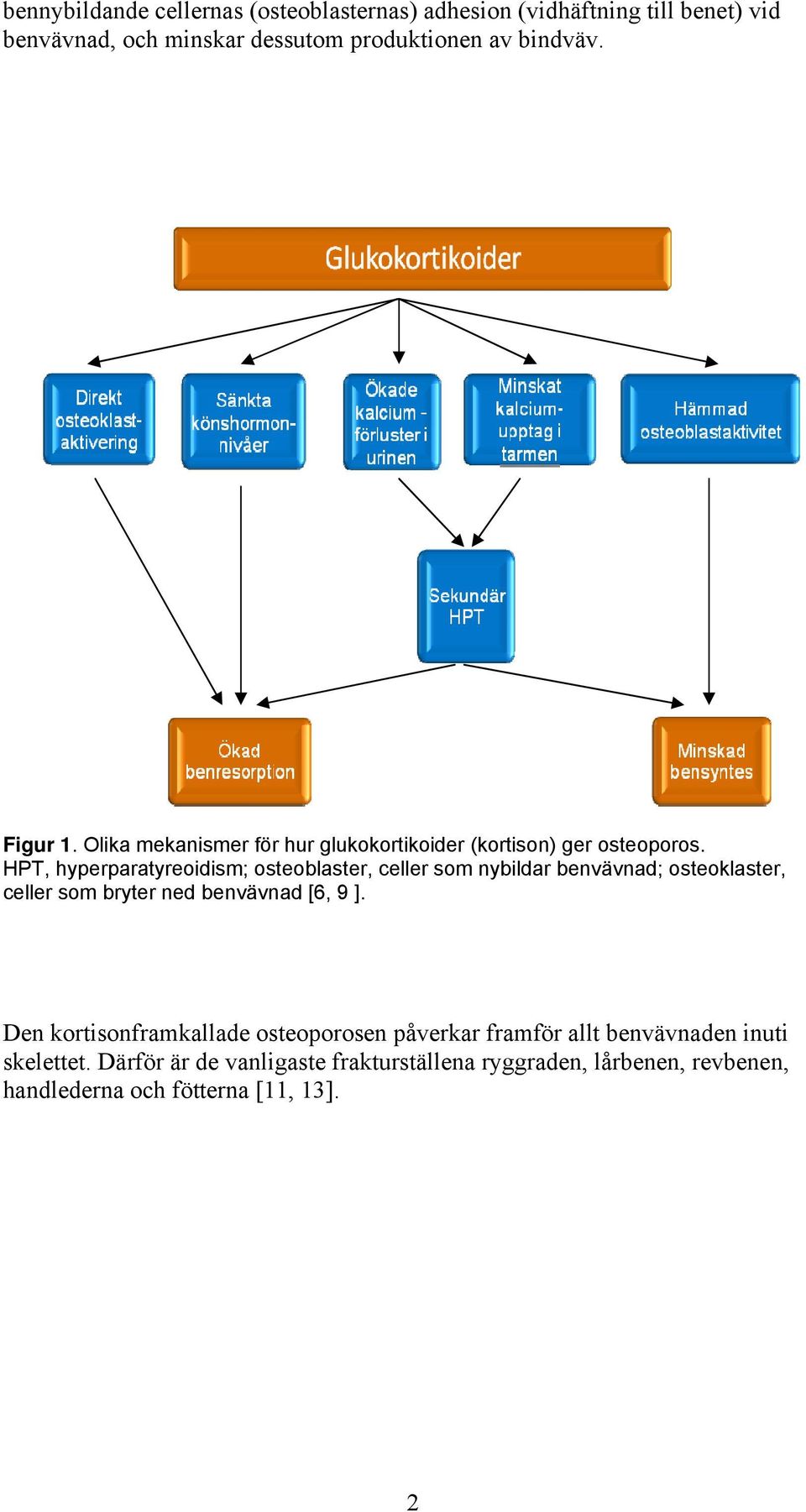 HPT, hyperparatyreoidism; osteoblaster, celler som nybildar benvävnad; osteoklaster, celler som bryter ned benvävnad [6, 9 ].