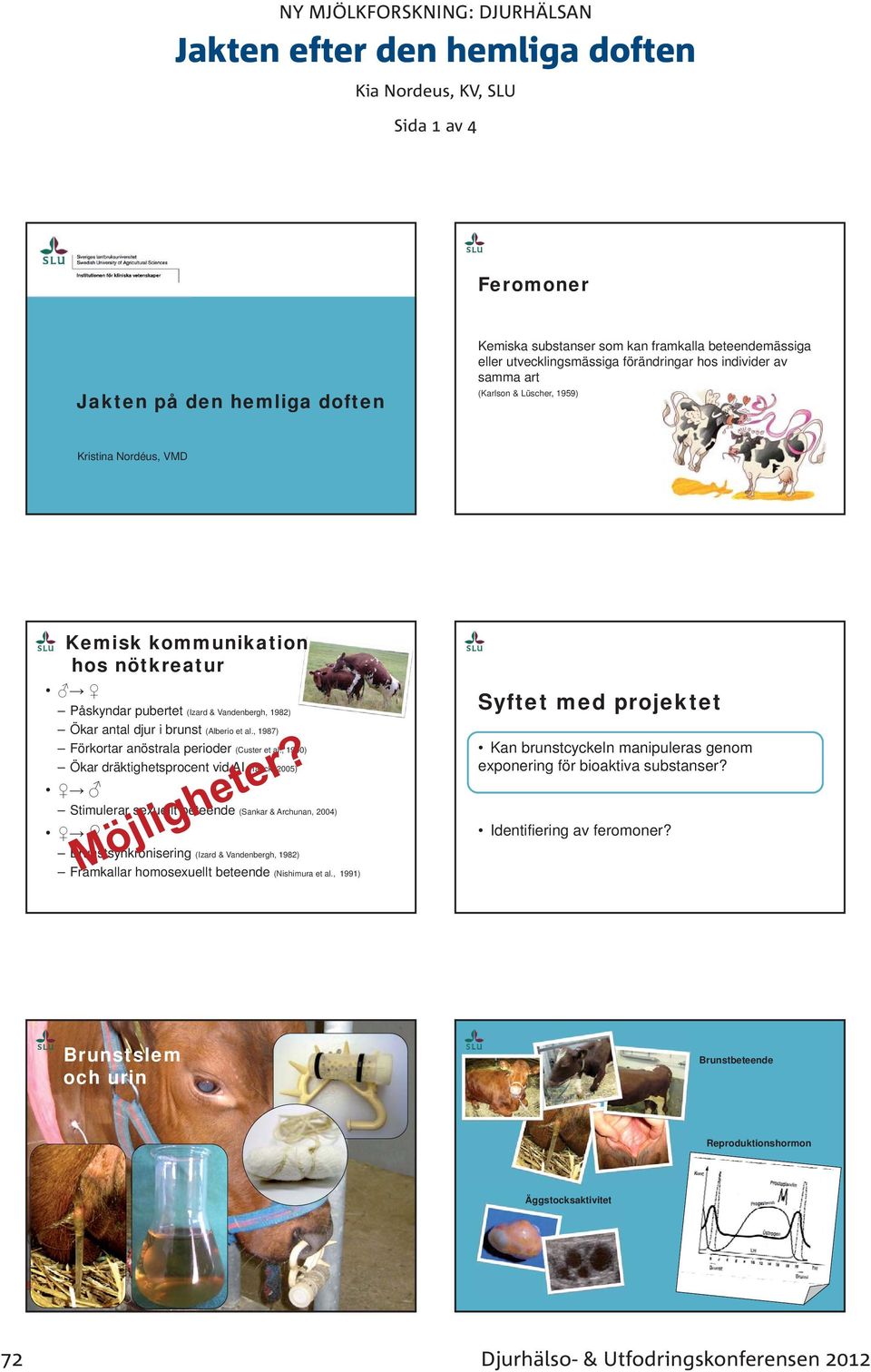 , 1990) Ökar dräktighetsprocent vid AI (Tauck, 2005) Stimulerar sexuellt beteende (Sankar & Archunan, 2004) Brunstsynkronisering (Izard & Vandenbergh, 1982) Framkallar homosexuellt beteende