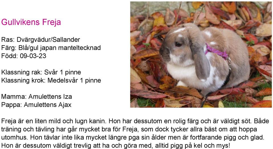 Hon har dessutom en rolig färg och är väldigt söt.