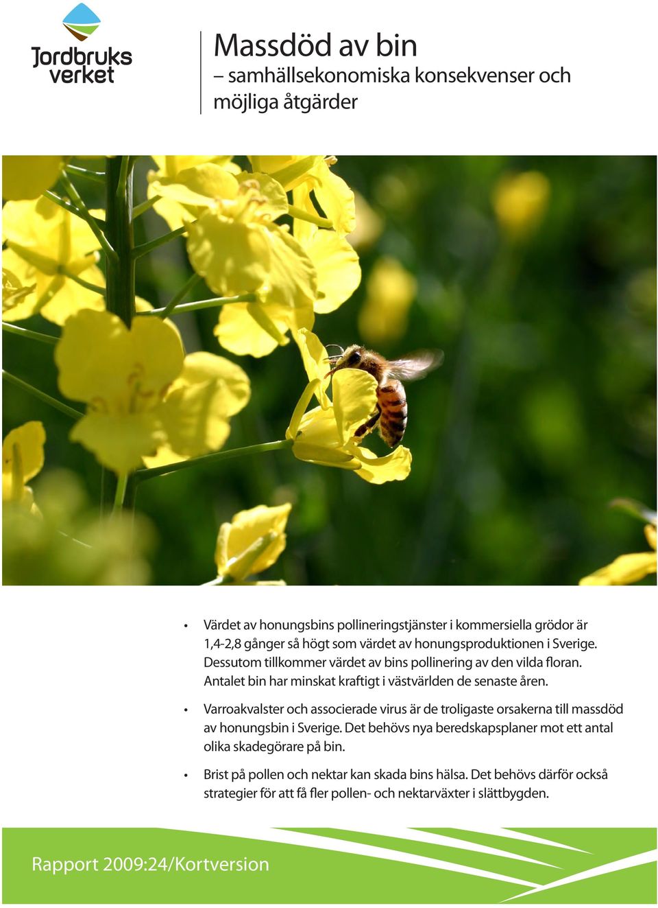 Varroakvalster och associerade virus är de troligaste orsakerna till massdöd av honungsbin i Sverige.