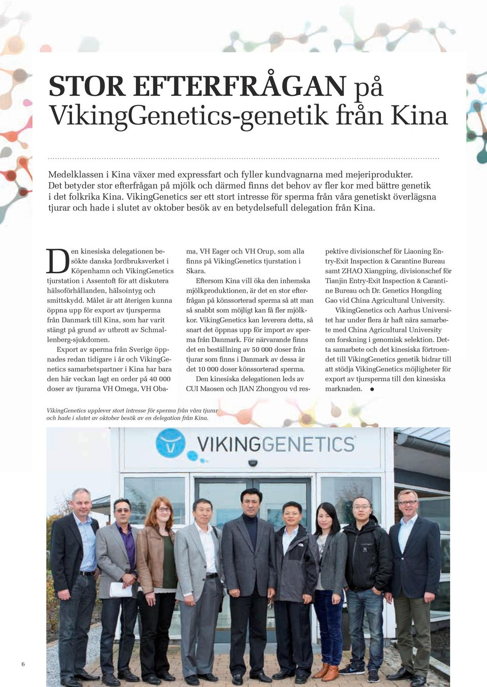 Vikinggenetics ser ett stort intresse för sperma från våra genetiskt överlägsna tjurar och hade i slutet av oktober besök av en betydelsefull delegation från Kina.