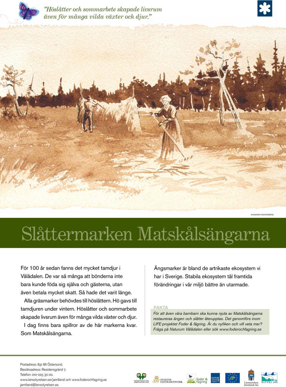 Hö gavs till tamdjuren under vintern. Höslåtter och sommarbete I dag finns bara spillror av de här markerna kvar. Som Matskålsängarna. Ängsmarker är bland de artrikaste ekosystem vi har i Sverige.