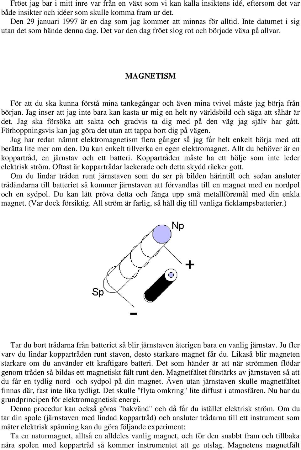 MAGNETISM För att du ska kunna förstå mina tankegångar och även mina tvivel måste jag börja från början. Jag inser att jag inte bara kan kasta ur mig en helt ny världsbild och säga att såhär är det.