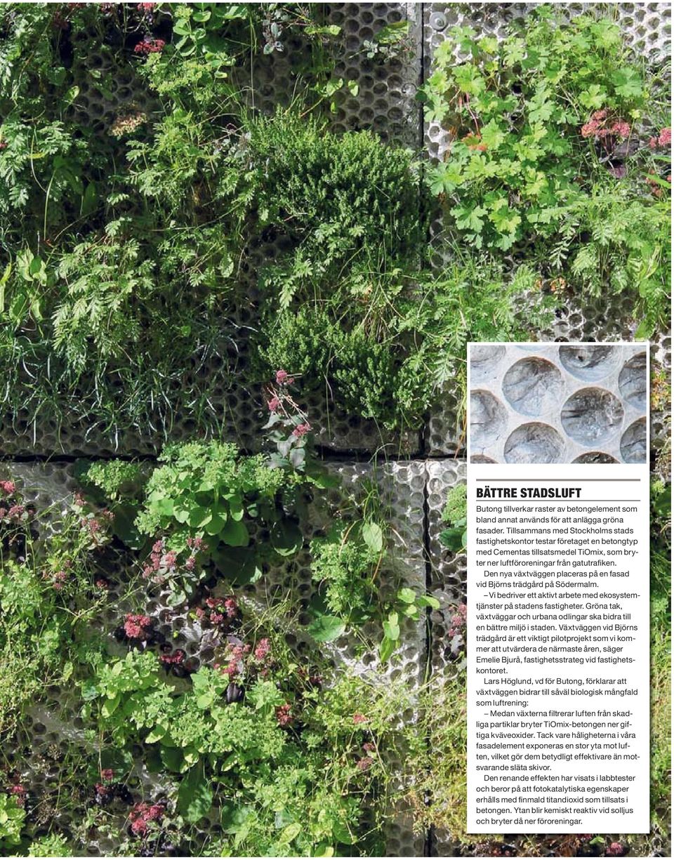 Den nya växtväggen placeras på en fasad vid Björns trädgård på Södermalm. Vi bedriver ett aktivt arbete med ekosystemtjänster på stadens fastigheter.