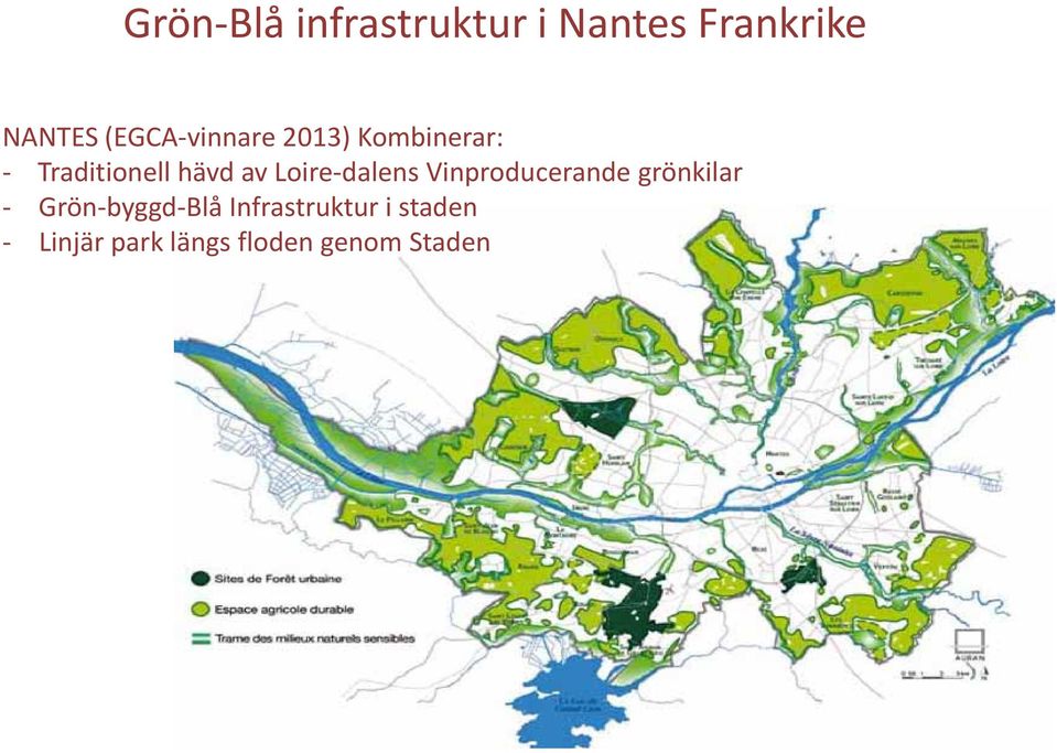 Loire dalens Vinproducerande grönkilar Grön byggd Blå