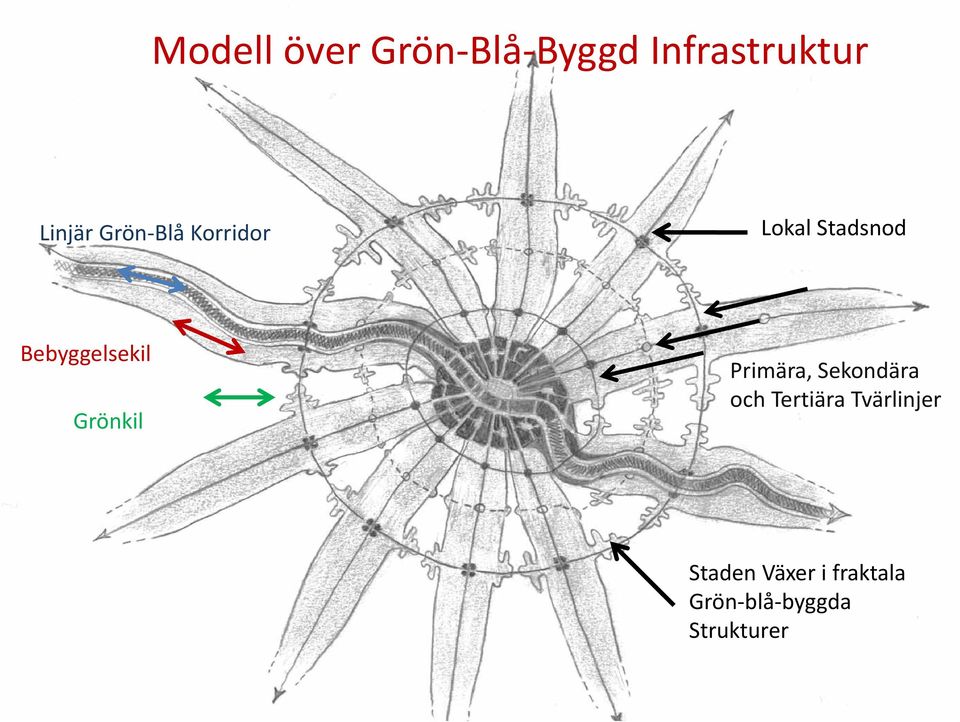 Grönkil Primära, Sekondära och Tertiära