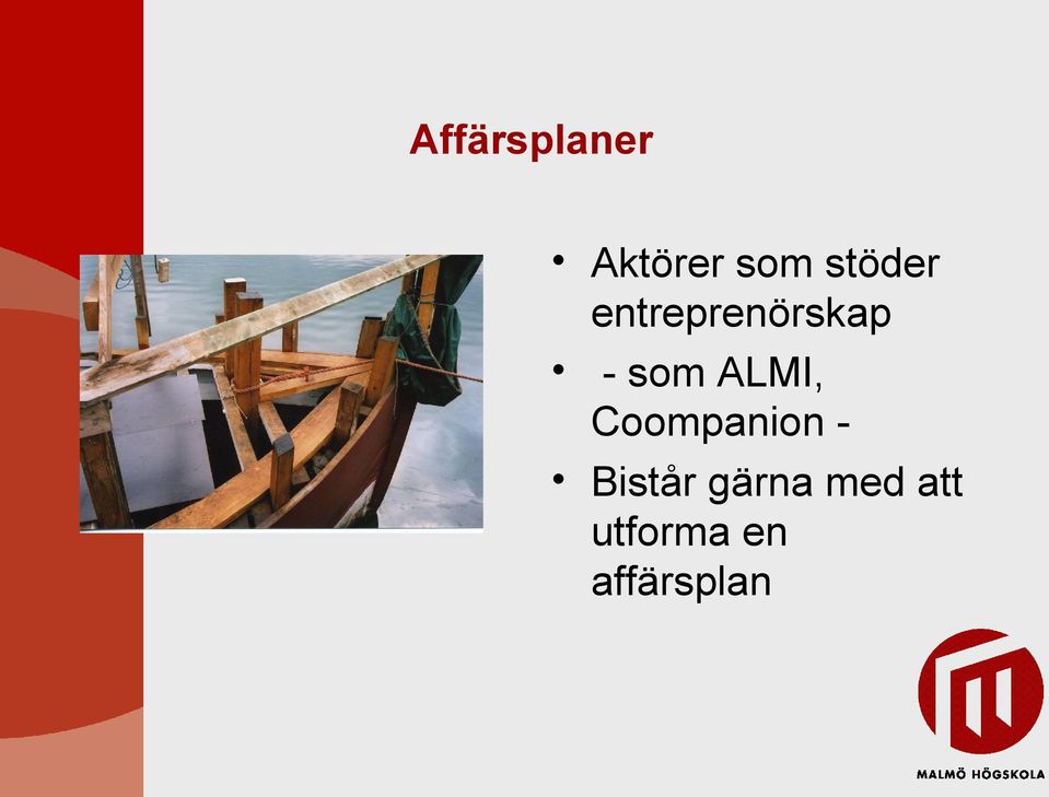 ALMI, Coompanion - Bistår