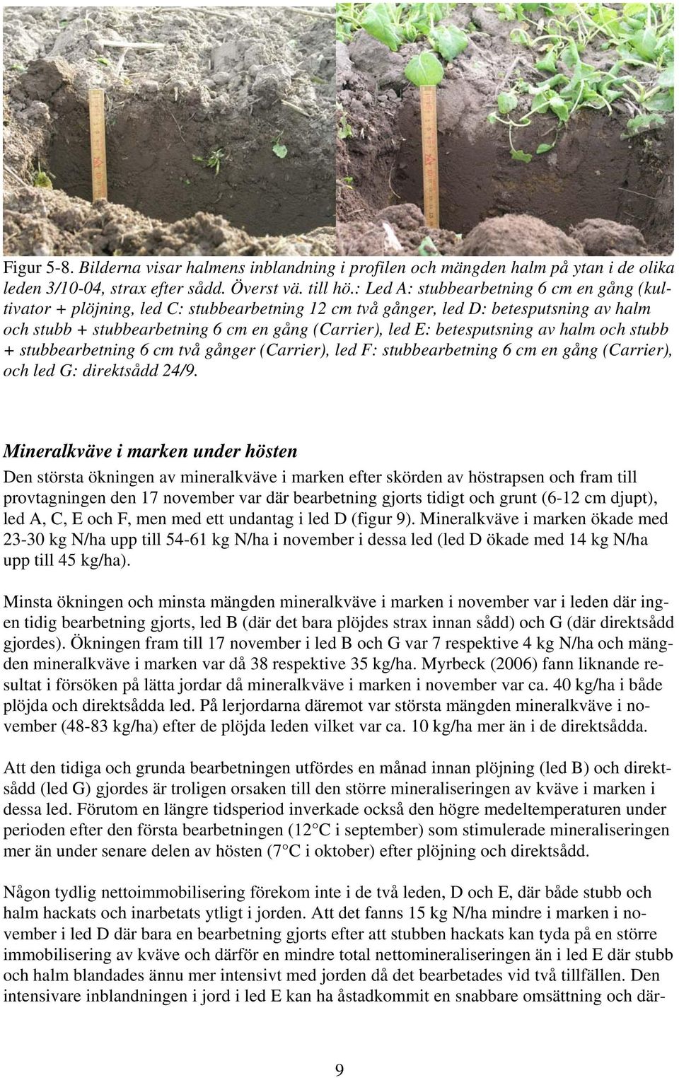 betesputsning av halm och stubb + stubbearbetning 6 cm två gånger (Carrier), led F: stubbearbetning 6 cm en gång (Carrier), och led G: direktsådd 24/9.