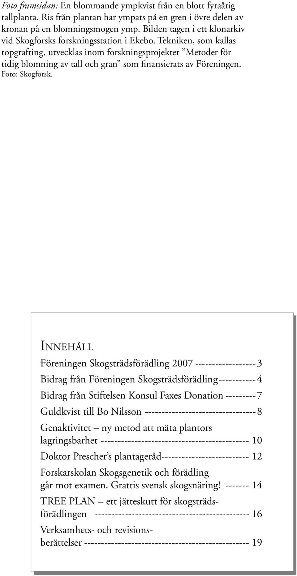 Tekniken, som kallas topgrafting, utvecklas inom forskningsprojektet Metoder för tidig blomning av tall och gran som finansierats av Föreningen. Foto: Skogforsk.