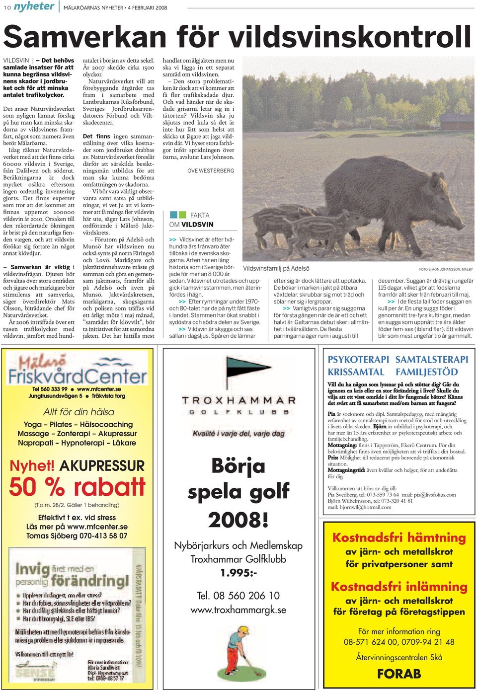 Idag räknar Naturvårdsverket med att det finns cirka 60000 vildsvin i Sverige, från Dalälven och söderut. Beräkningarna är dock mycket osäkra eftersom ingen ordentlig inventering gjorts.
