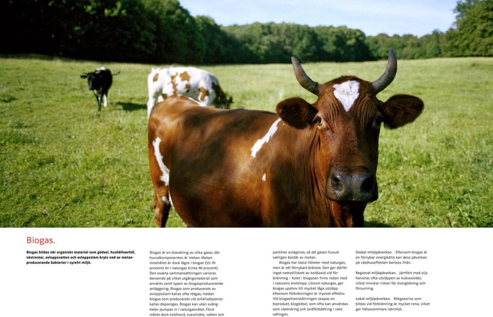 Den exakta sammansättningen varierar, beroende på vilket utgångsmaterial som använts samt typen av biogasproducerande anläggning.