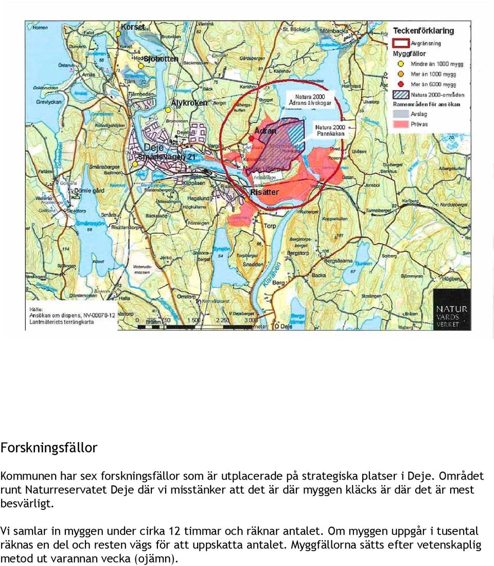 besvärligt. Vi samlar in myggen under cirka 12 timmar och räknar antalet.