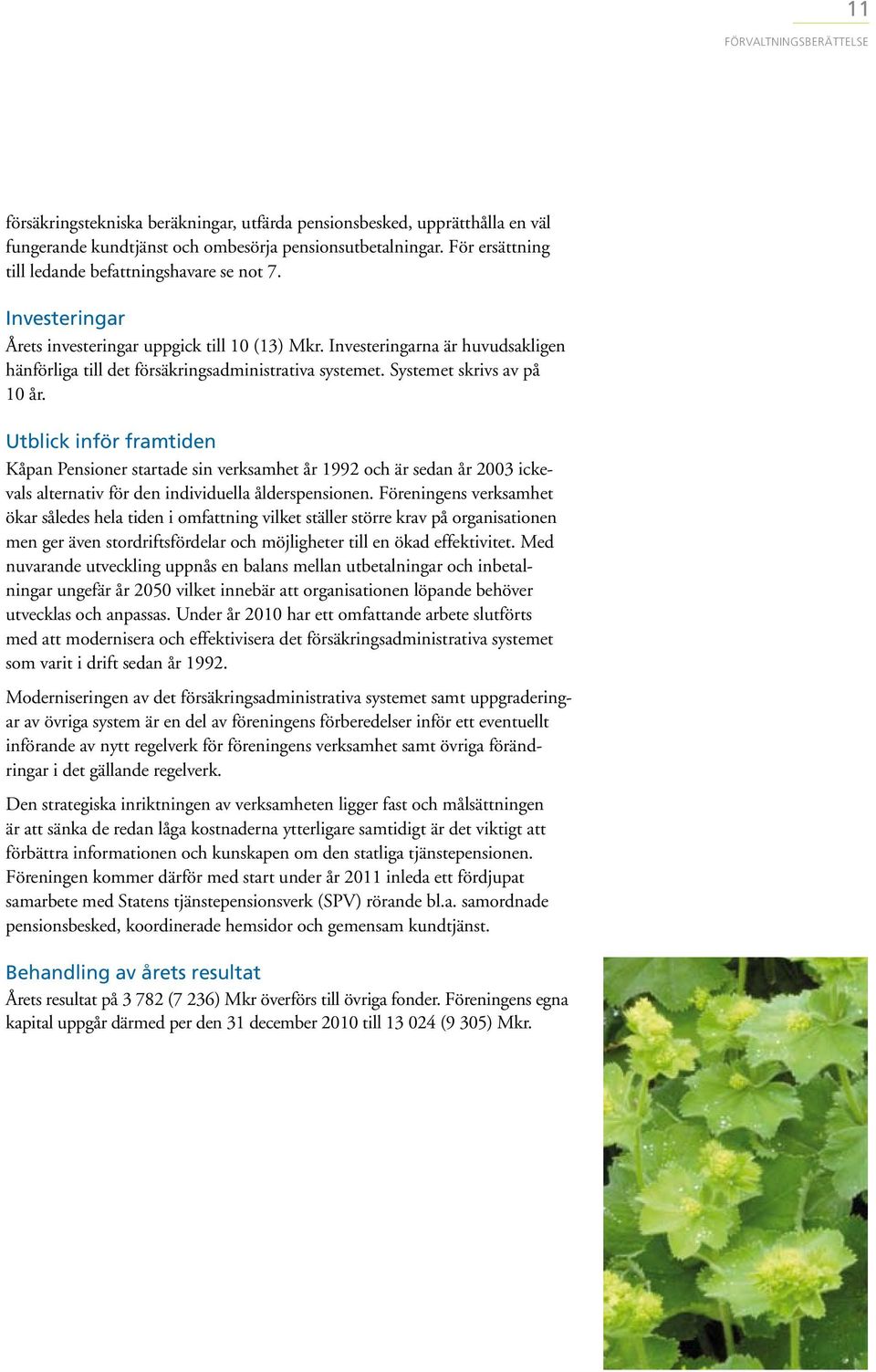 Investeringarna är huvudsakligen hänförliga till det försäkringsadministrativa systemet. Systemet skrivs av på 10 år.