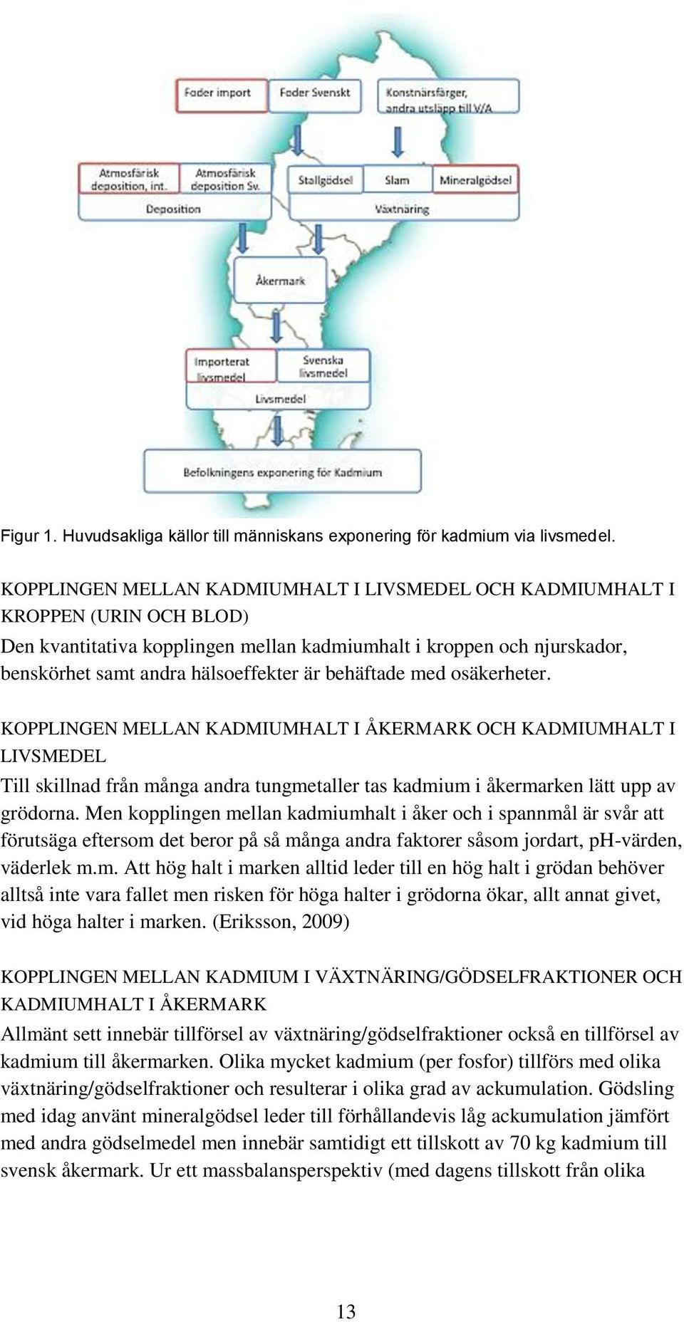 behäftade med osäkerheter. KOPPLINGEN MELLAN KADMIUMHALT I ÅKERMARK OCH KADMIUMHALT I LIVSMEDEL Till skillnad från många andra tungmetaller tas kadmium i åkermarken lätt upp av grödorna.