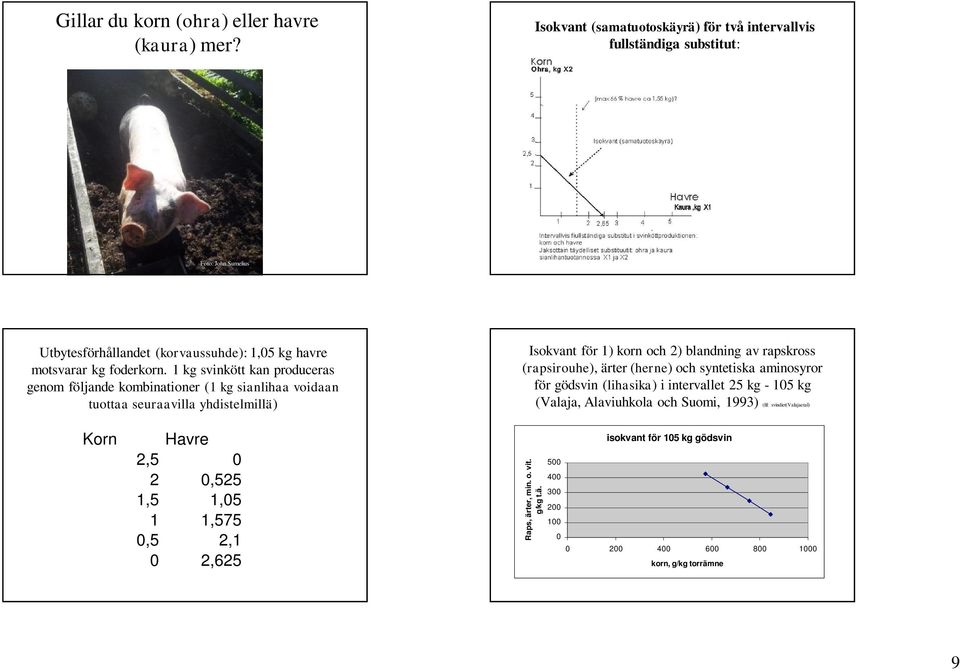 1 kg svinkött kan produceras genom följande kombinationer (1 kg sianlihaa voidaan tuottaa seuraavilla yhdistelmillä) Isokvant för 1) korn och 2) blandning av rapskross (rapsirouhe),
