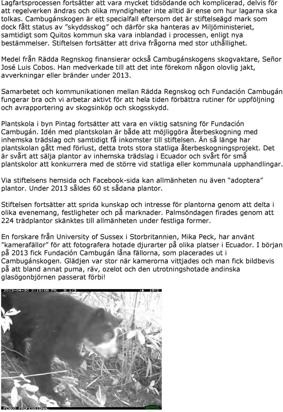 processen, enligt nya bestämmelser. Stiftelsen fortsätter att driva frågorna med stor uthållighet. Medel från Rädda Regnskog finansierar också Cambugánskogens skogvaktare, Señor José Luis Cobos.