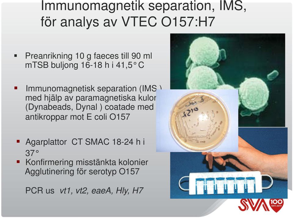 kulor (Dynabeads, Dynal ) coatade med antikroppar mot E coli O157 Agarplattor CT SMAC 18-24 h