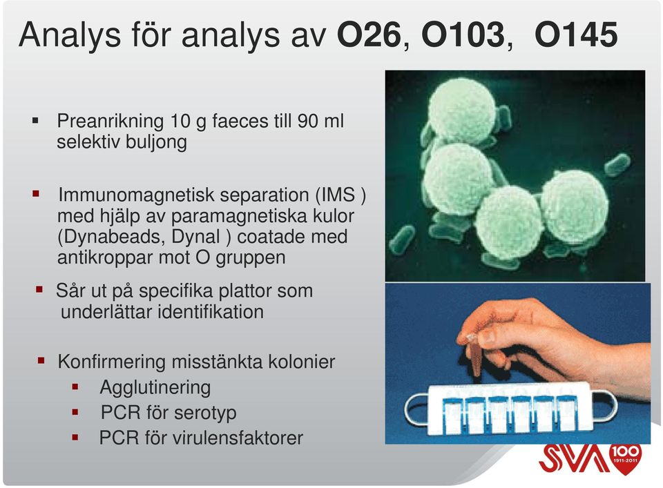 Dynal ) coatade med antikroppar mot O gruppen Sår ut på specifika plattor som underlättar