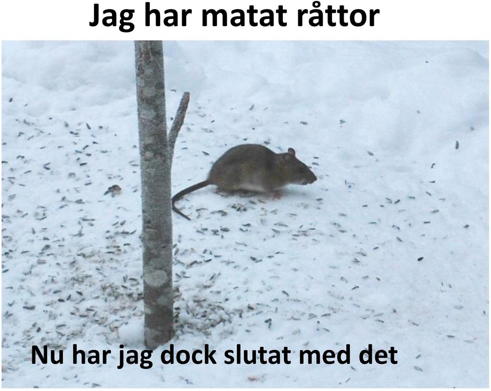 Nu har jag