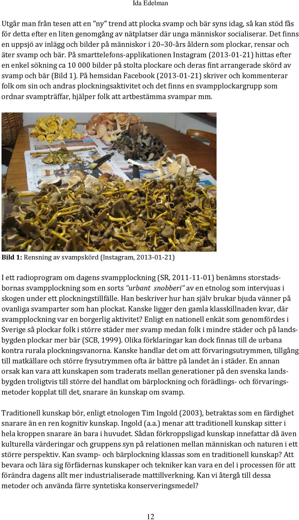 På smarttelefons-applikationen Instagram (2013-01-21) hittas efter en enkel sökning ca 10 000 bilder på stolta plockare och deras fint arrangerade skörd av svamp och bär (Bild 1).