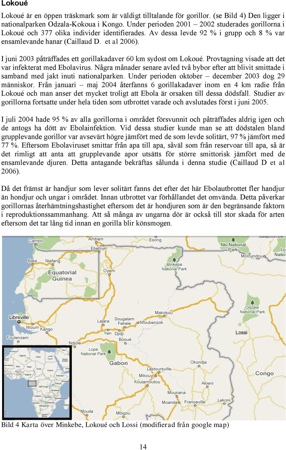 I juni 2003 påträffades ett gorillakadaver 60 km sydost om Lokoué. Provtagning visade att det var infekterat med Ebolavirus.