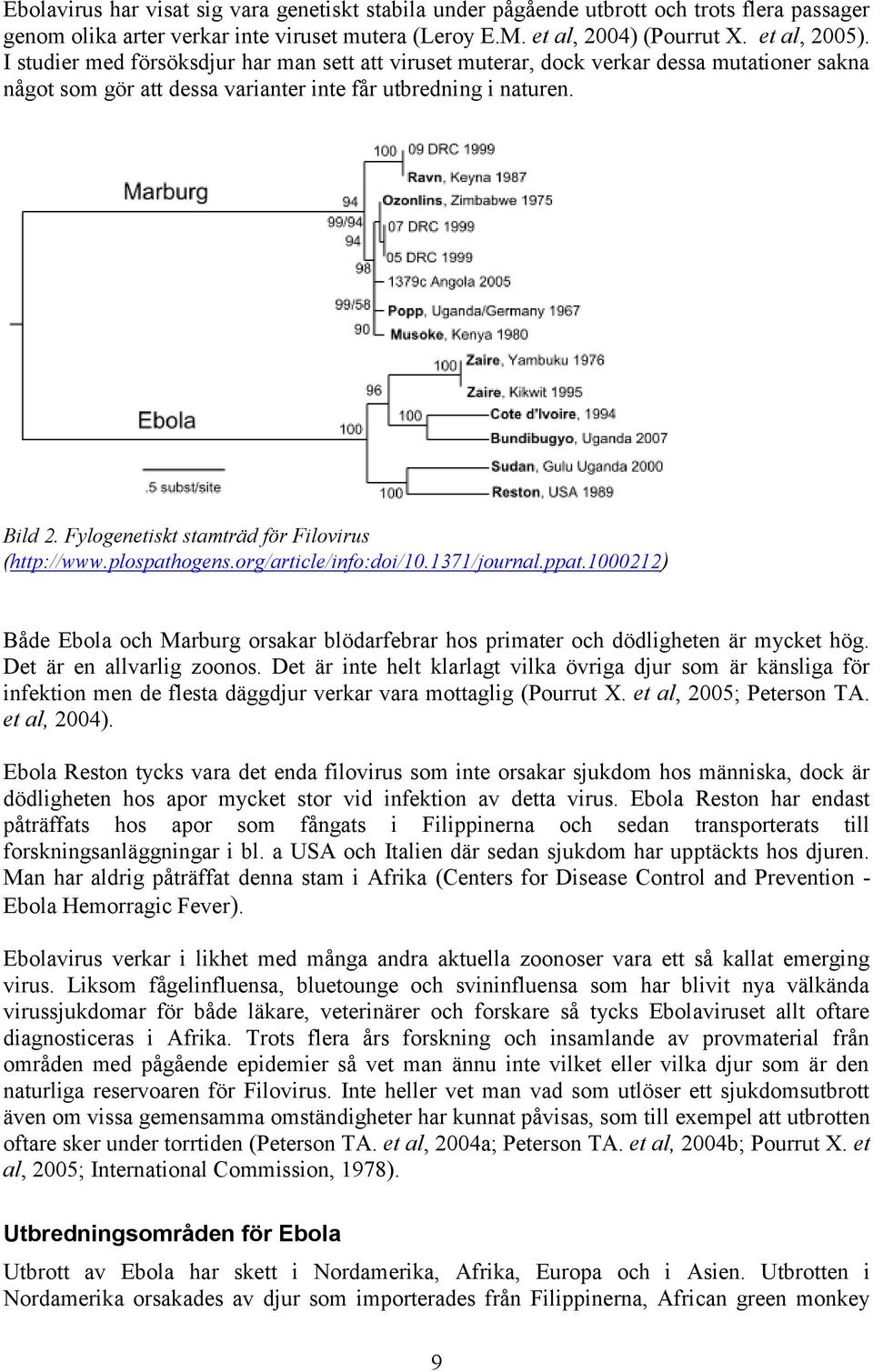 Fylogenetiskt stamträd för Filovirus (http://www.plospathogens.org/article/info:doi/10.1371/journal.ppat.